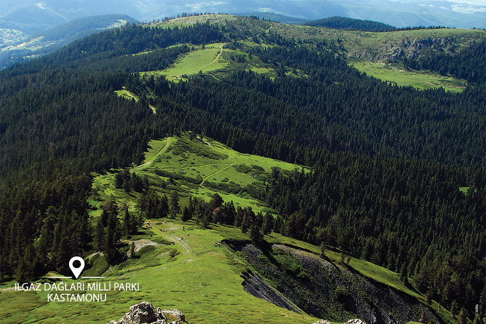 Ilgaz nerenin ilçesi