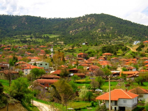 Bozkurt nerenin ilçesi