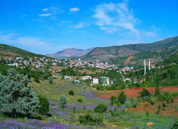 Hadim Nerenin İlçesi