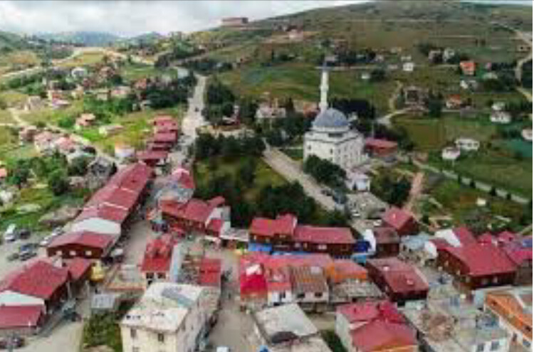 Kabadüz Nerenin İlçesi