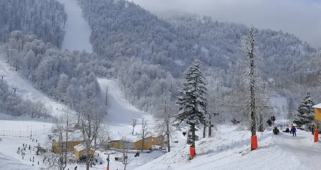 Kartepe Nerenin İlçesi