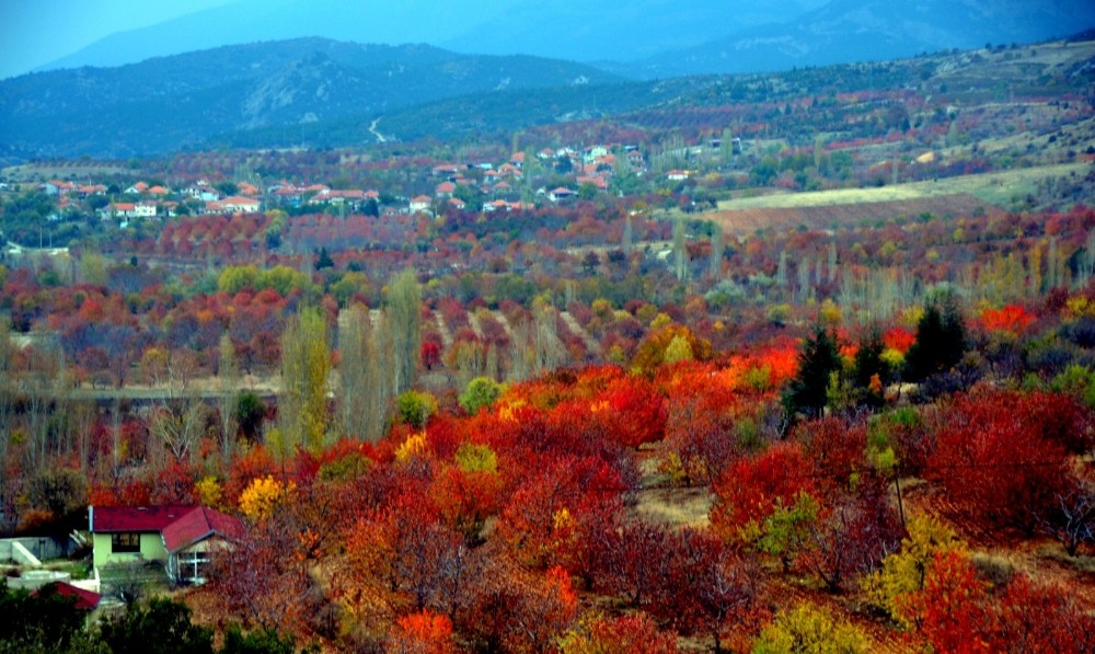 Uluborlu nerenin ilçesi