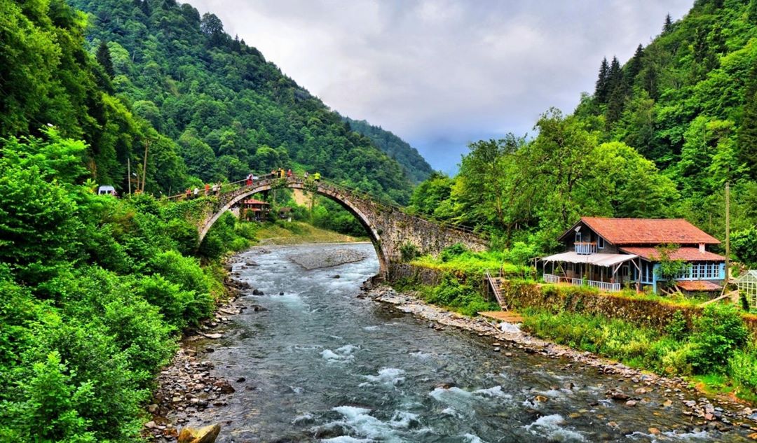 Çamlıhemşin Nerenin İlçesi