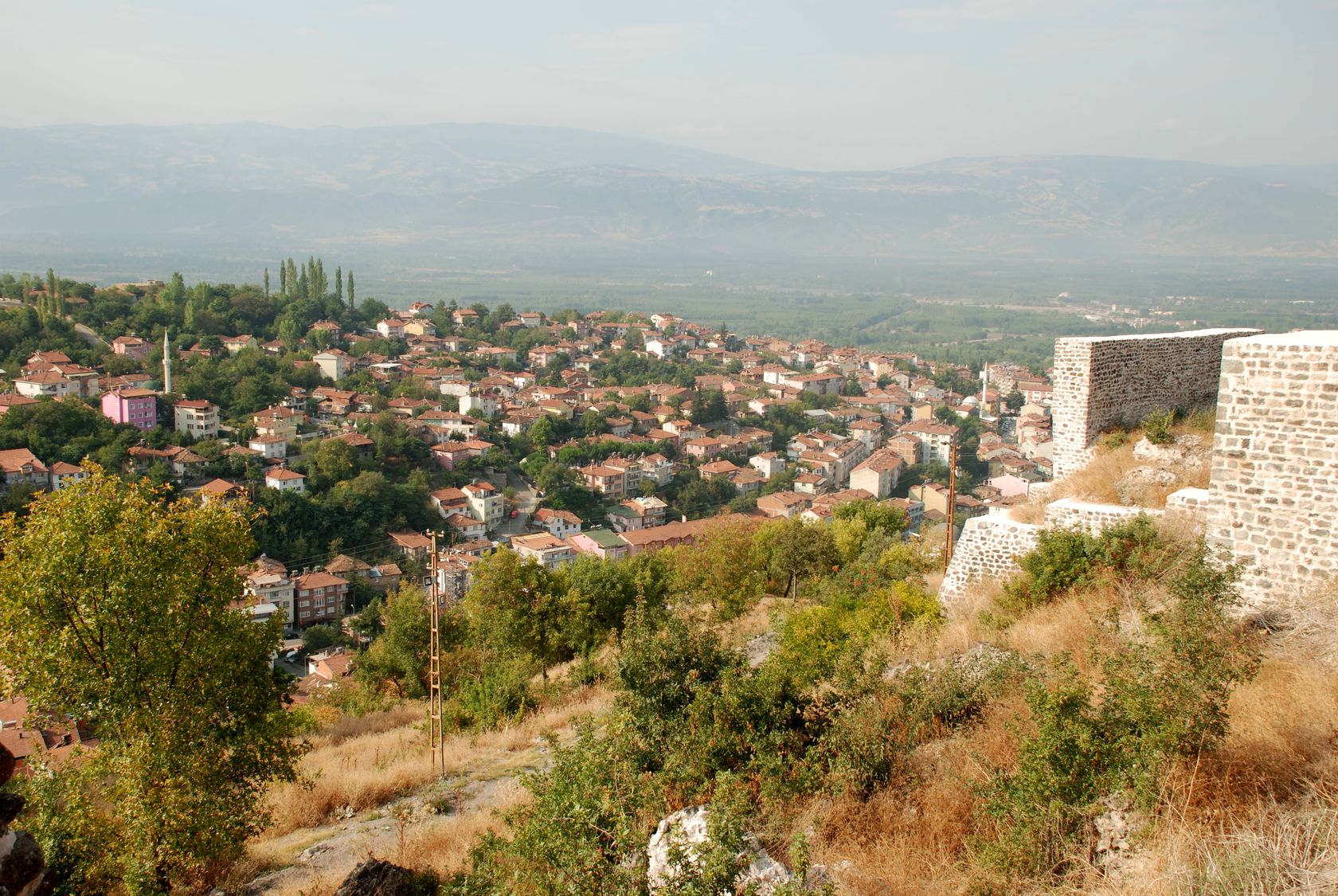 Niksar Nerenin İlçesi