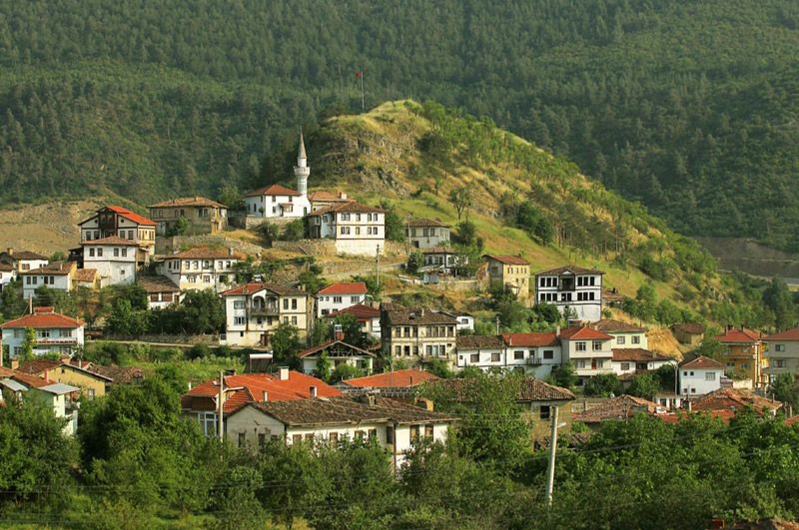 Taraklı Nerenin İlçesi